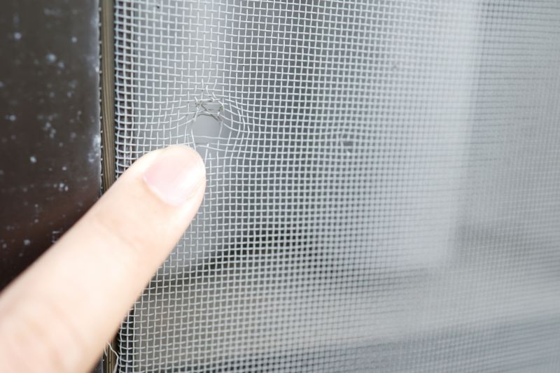 Lanai Screen Repair